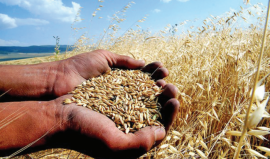 Çiftçi borç batağında